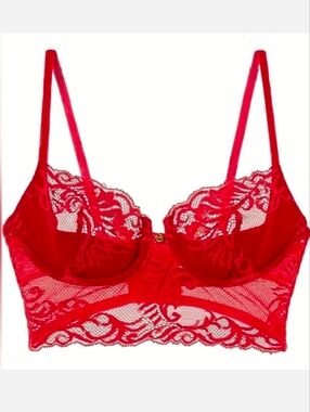 NATORI Feathers Longline Bra 34DD Cranberry Red Floral Lace